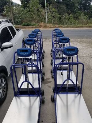 Bilancia del banco della piattaforma portatile delle pese a bilico 150kg 300Kg Digital