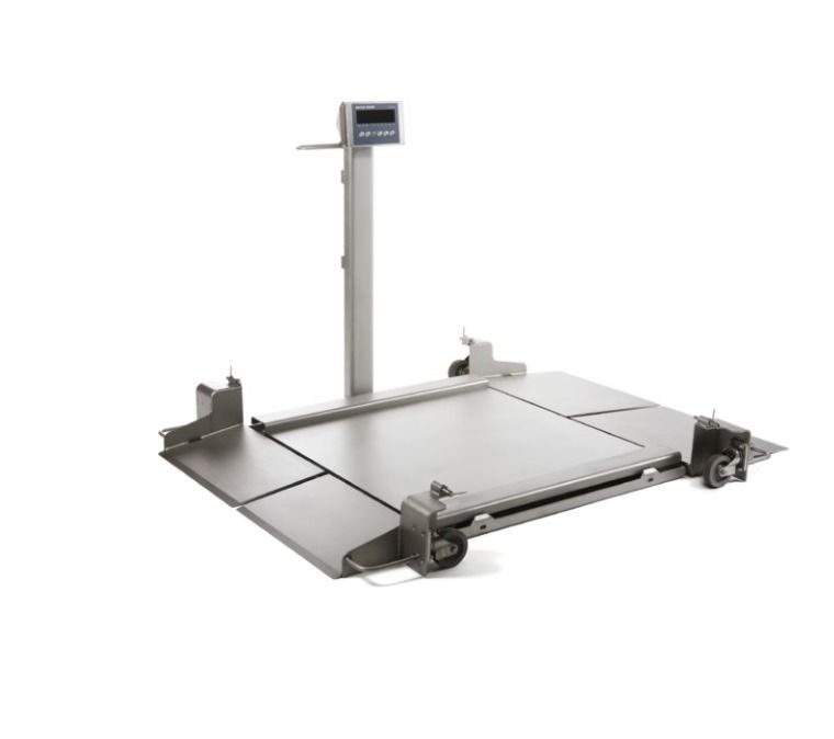 2888P-SS Scale - 0,5K Capacità - 24x24 Piattaforma Industriale con 1ft Cavo