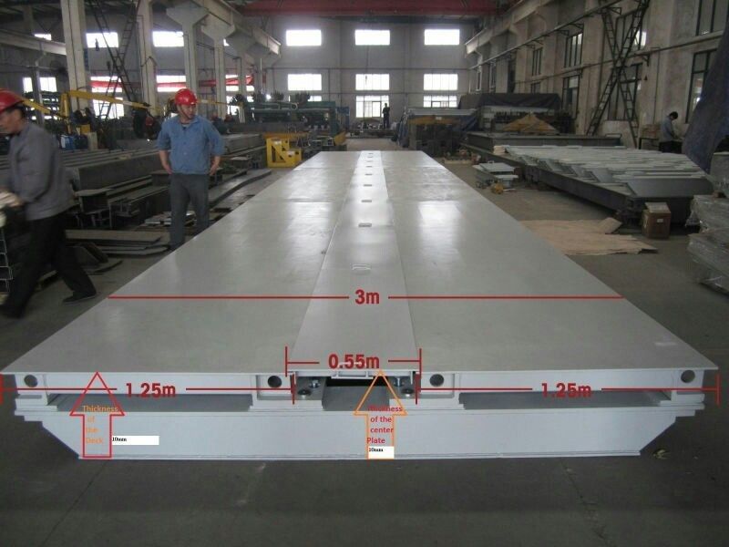 Capacità resistente della bascula a ponte VTS231 10-300T della bascula di Mettler Toledo