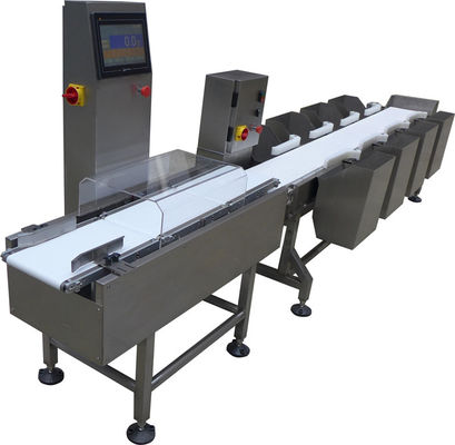 Automated Weighing Systems in Food Production with Precision, Safety